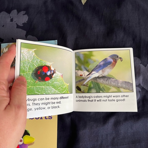 Mini Books Bundle - Picture 10 of 11